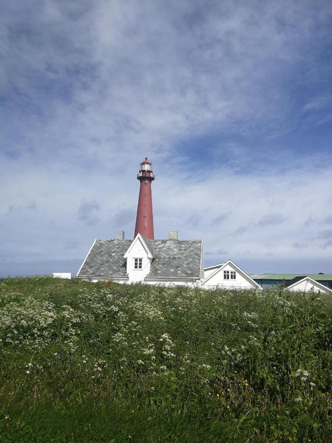 Apt 103 - Andenes Whale Safari Apartments Exteriér fotografie